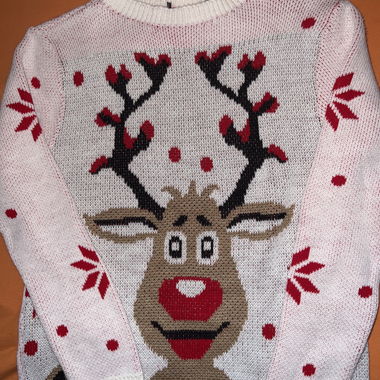 Reindeer knit sweater