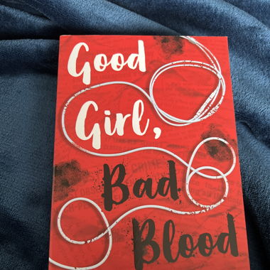 good girl bad blood holly jackson buch