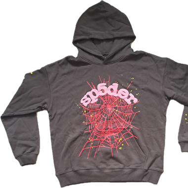 Sp5der Hoodie braun