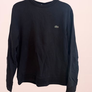 Maglione Lacoste