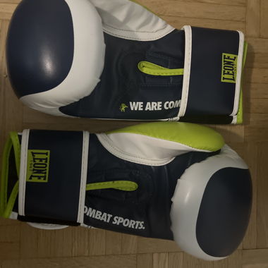 Leone Boxing Gloves