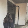 j_ulia2000