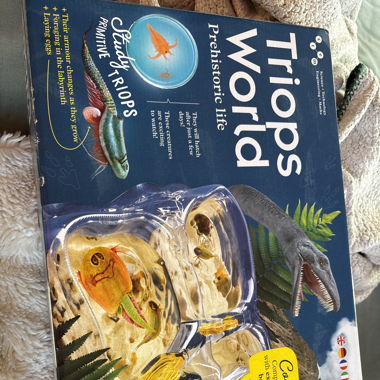 Triops World Zuchtkasten