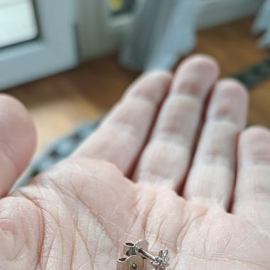 Ohrringe Edelweiss Silber