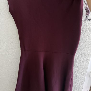 Burgundy Zara Dress EU M