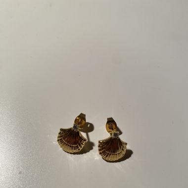 Muschel Ohrstecker
