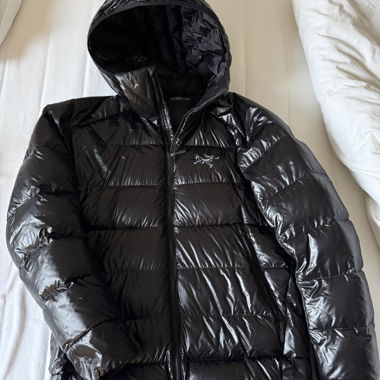 Arcteryx Cerium Sv Hoody