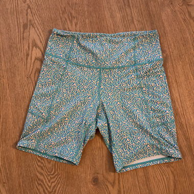 Patagonia shorts