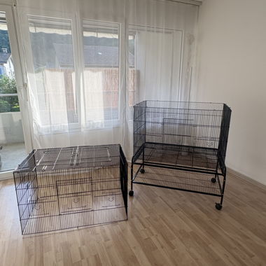 Cage à oiseaux sur roulettes