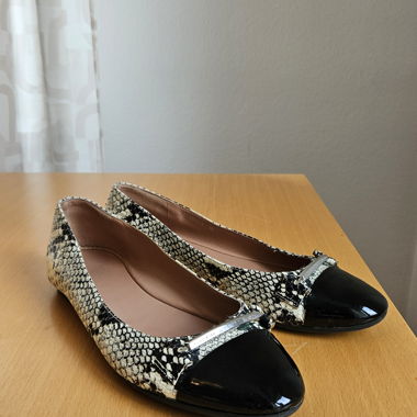 Ballerinas Boss 