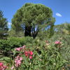 Soomone24