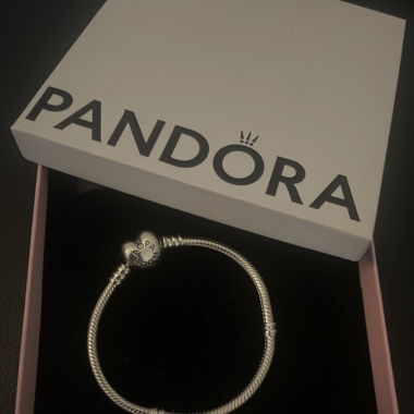 Pandora Charm Bracelet, 925 Sterling Silver