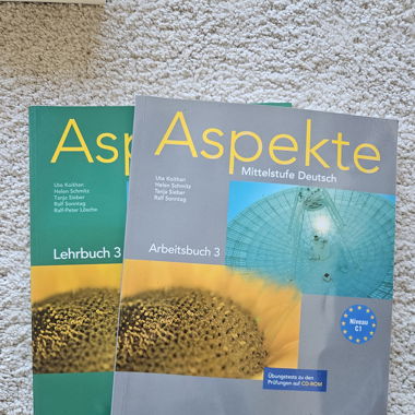 Sprachkurs Buch Deutsch C1