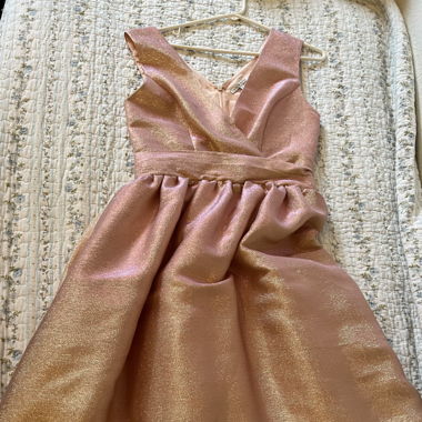 Dress Size 36