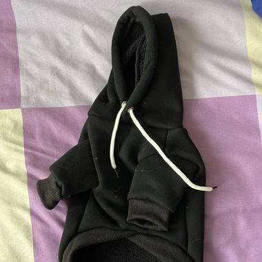 Vêtements pour chien 