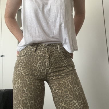 ZARA Leo Print Jeans (Petite)
