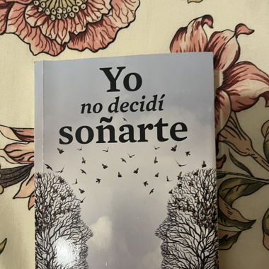 yo no decid soñarte