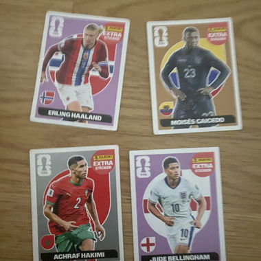 Panini Football Stickers