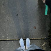 Subculture