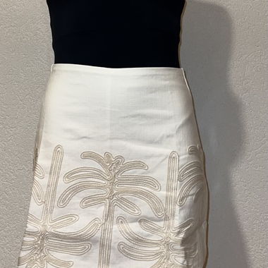 Short Skirt