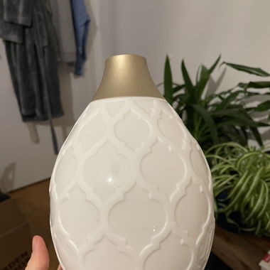 Diffuser youndliving