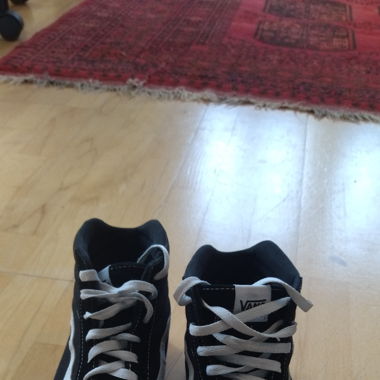 Vans Sk8 high
