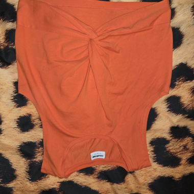 Orange Crop top