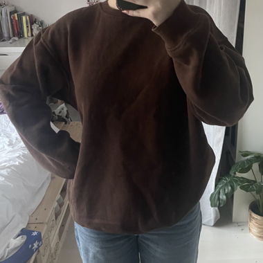 Braunes Sweatshirt