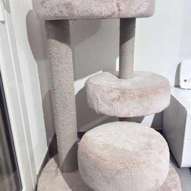 Arbre à chat
