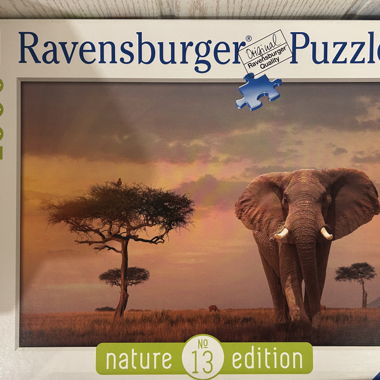 Puzzle 1000 pezzi