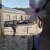 Lisa_3o