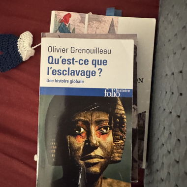 Che cos'è la schiavitù? Grenouilleau