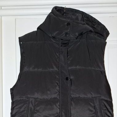 Daunengilet