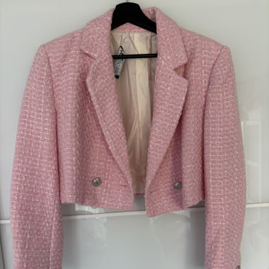 Zara Pink Blazer