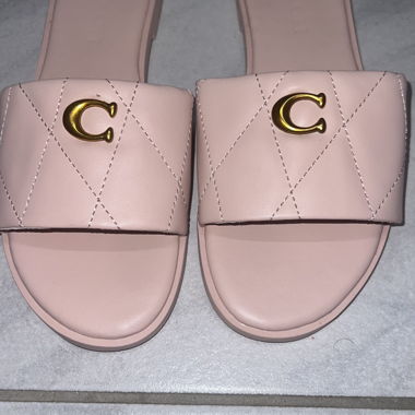 Coach pink slides