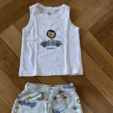 Lion Summer Set - 74cm