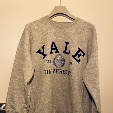 Oversize Sweatshirt grau 