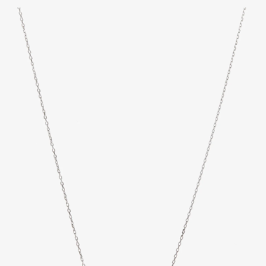 Swarovski SWAN NECKLACE - Necklace - white