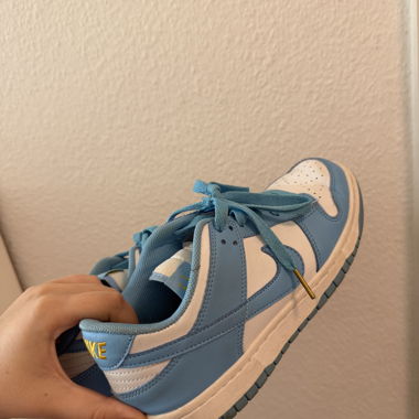 Nike Dunks bleu