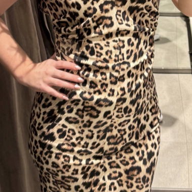 Leopard Dress