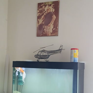 Aquarium