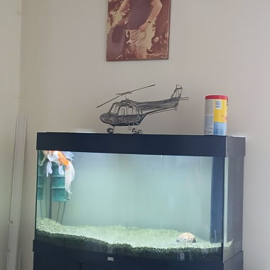 Aquarium