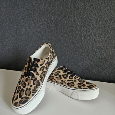 D.Franklin Leo Sneaker