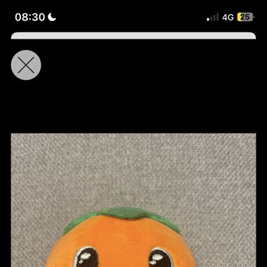 Kawaii Mandarin Plush Toy
