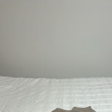 Zara skirt (M)