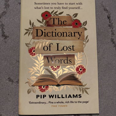 The Dictionary of Lost Words Buch