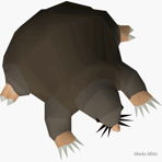 0000MoleDude