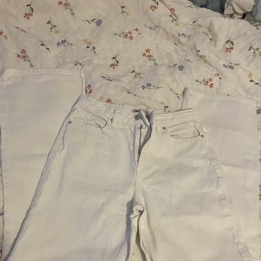 Zara pants