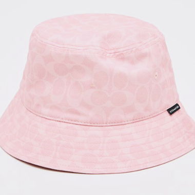Rosa COACH-Bommelhut