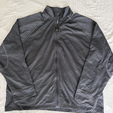 Champion Hoodie grau